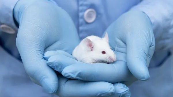国家鼠和兔类实验动物资源库2020年资源共享服务典型案例